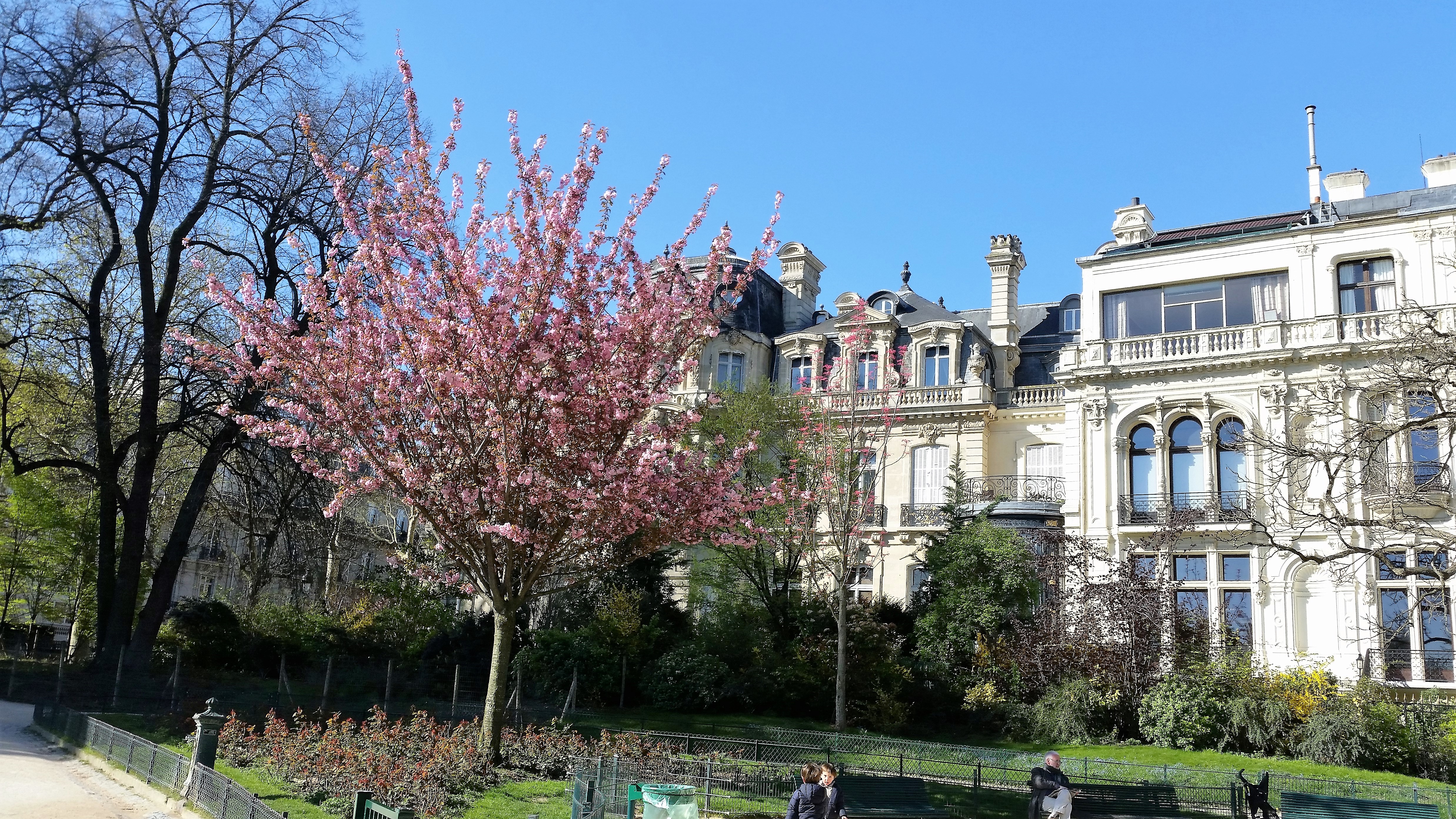 running in Paris