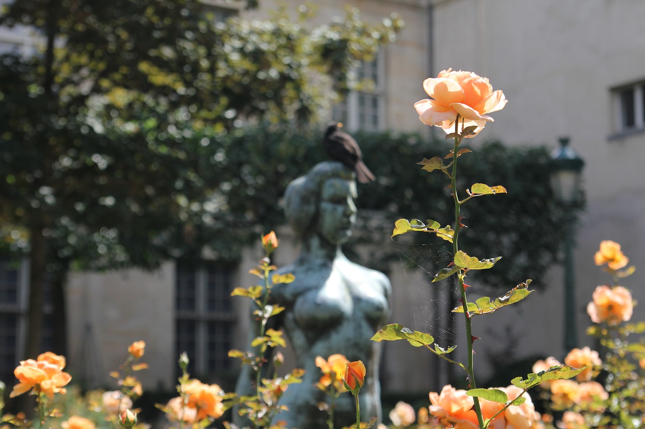 summer in paris